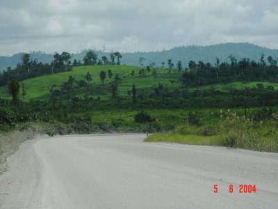 Indominco Coal Mine Road