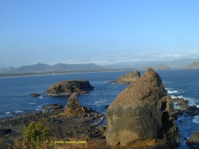 Pantai Malikan Jember