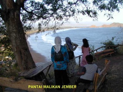 Pantai Malikan Jember