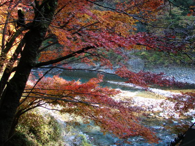 The Color of Okutama River, west Tokyo, Japan