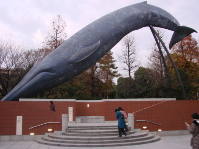 A Display in Ueno National Moseum