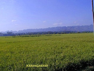 Karst Mountain shape like cocunut shell