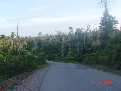 road from Bontang to Sangatta - Kenyamukan