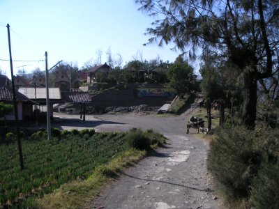 Lava View