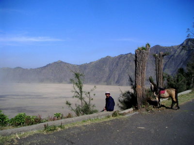 Lava View