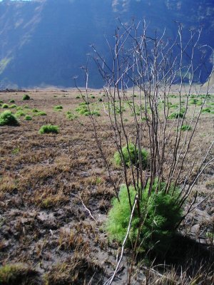 Offroad di Kaldera TN Bromo Tengger