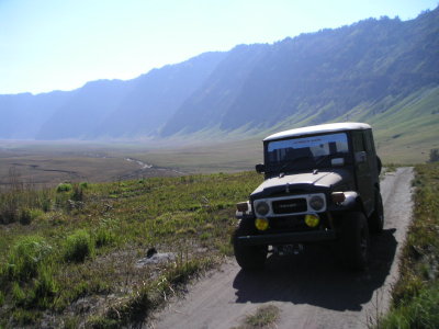 Crossing the Savana