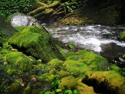 Creek from Pelangi Waterfall