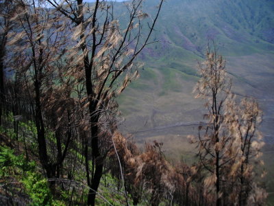 South rim of Tengger