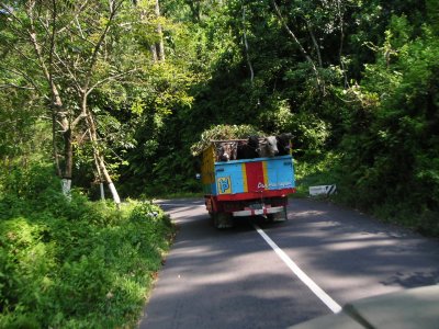 Road between Lumajang - Malang
