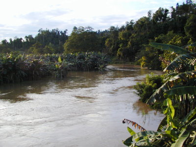 Air sungai naik kalo hujan lebat di Kilo-12