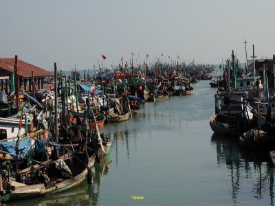 Pelabuhan Nelayan Tuban