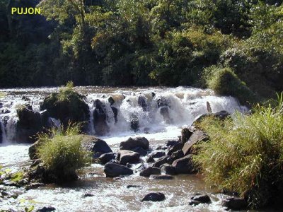 sungai di Pujon
