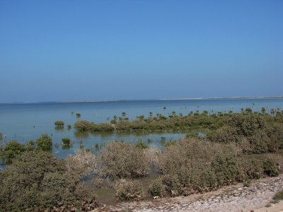 Aldhakira Natural Reserve