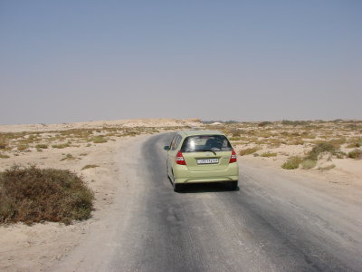 Road to Al Dhakira Natural Reserve