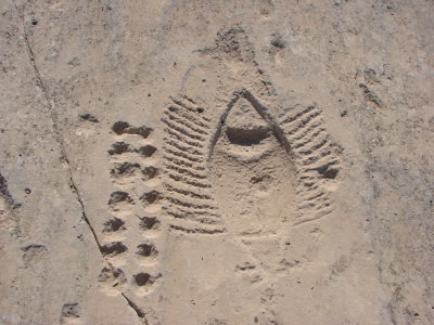 Petroglyph, Al-Jassasiyah, Qatar