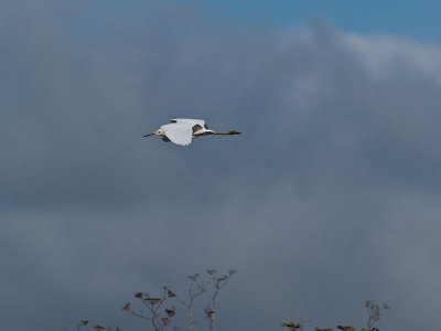 Winters coming _A011757.jpg