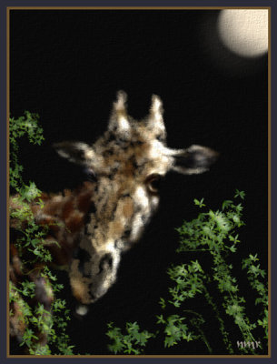 Dream giraffe