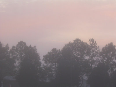 g6/76/446976/3/72846135.tNNNiHFV.jpg