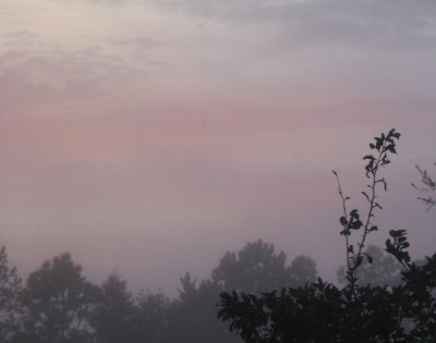 g6/76/446976/3/72846136.3QD0f96I.jpg
