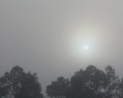 Sun Seen through Fog 01.15.07