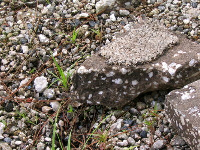 rocks miksang - 03.jpg