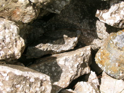 rocks miksang - 11.jpg