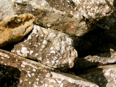 rocks miksang - 12.jpg