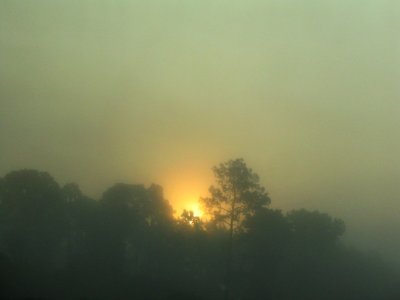 Foggy Sunrise: taken from a moving car