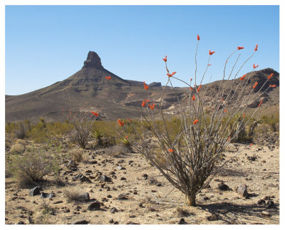 Flat desert scene #2