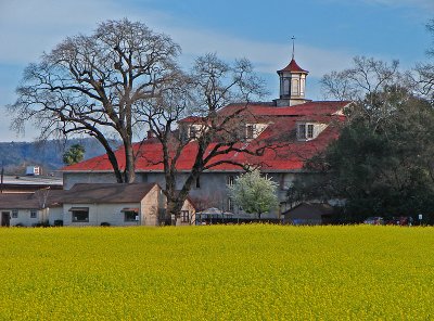 Winery and Mustard
