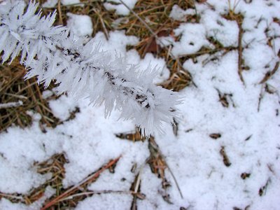 Ice Crystals