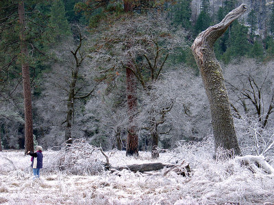 Yosemite/January 2007