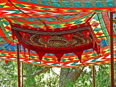 Colorful Canopy