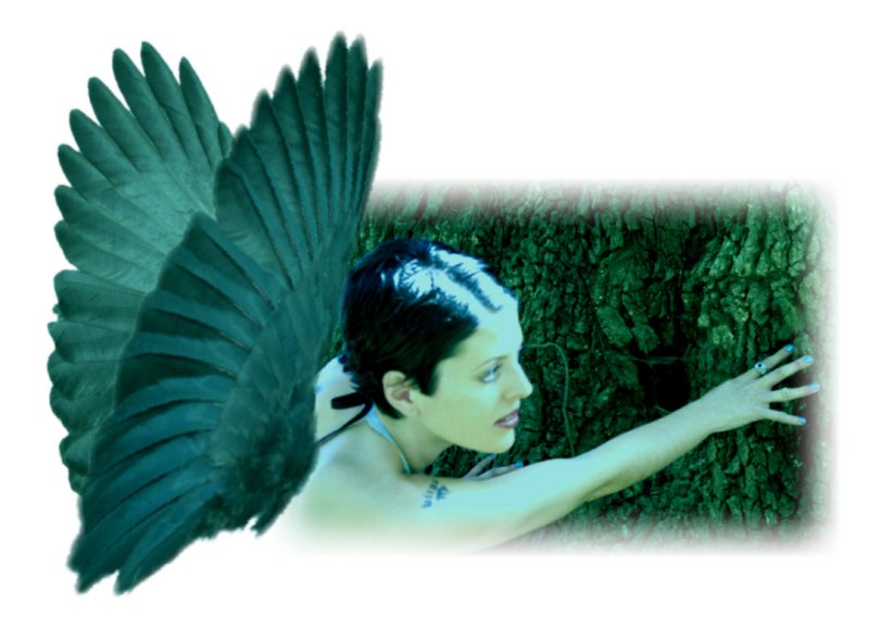 Faery