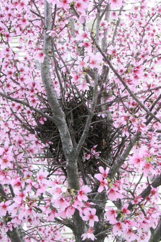 CRW_9190.jpg