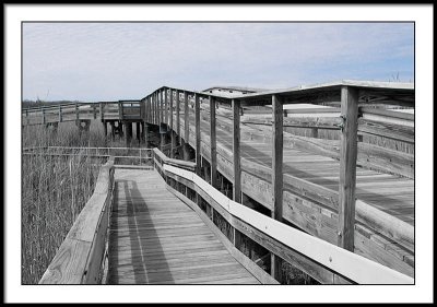 Boardwalk over Tidal Marsh