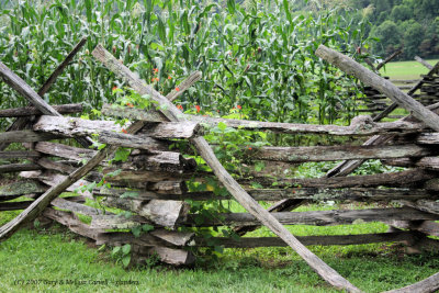 Wooden Fence