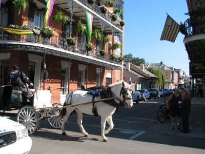Horse on Royal St.