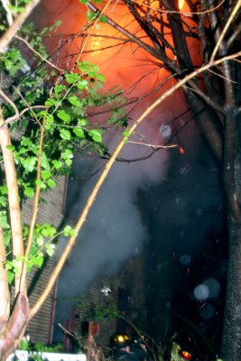 IMG_1078.jpg