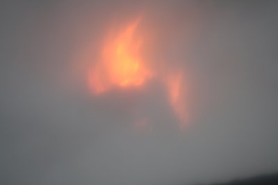 IMG_1181.jpg