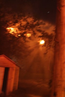 IMG_0784.jpg