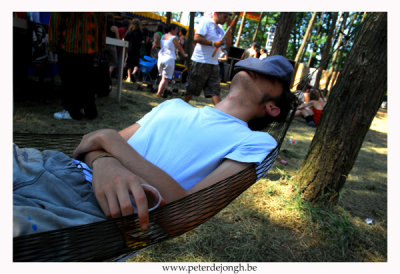 reggae festival