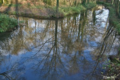 Comme dans un miroir