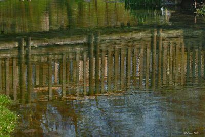Reflets  la source de la Somme