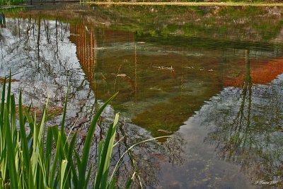 Source de la Somme. Reflets2