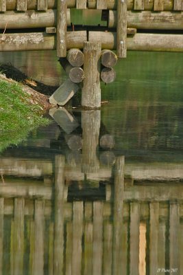 Source de la Somme: Reflet