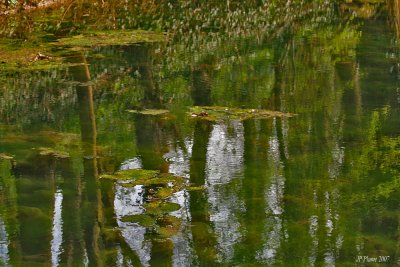 Source de la Somme et source de l'Escaut