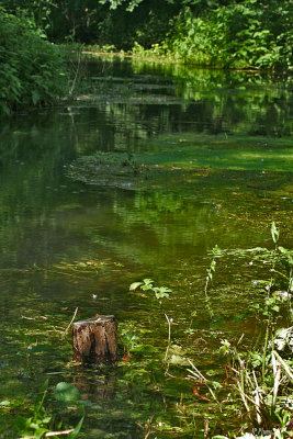 Prs de l'ancien moulin