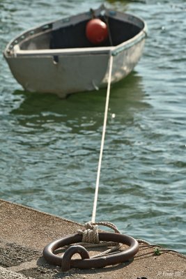 g6/76/720676/3/85239874.tDluYj22.jpg